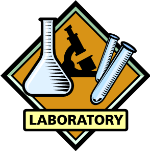lab